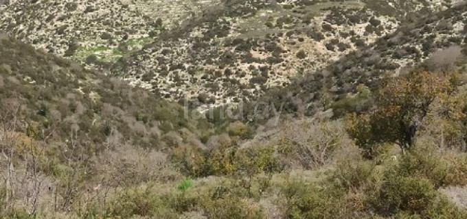 Agricultural field for sale in Paphos