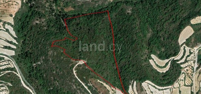 Agricultural field for sale in Paphos