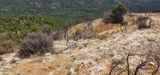 Terrain agricole à vendre à Paphos