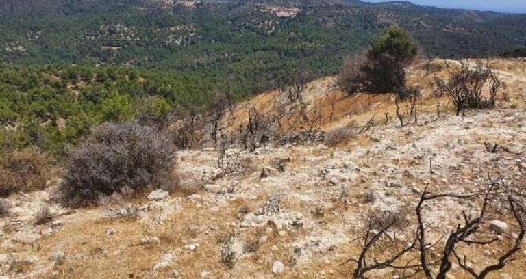 Campo agrícola a la venta en Paphos