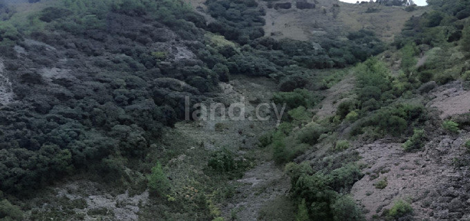 Landwirtschaftliches Baugebiet in Larnaca zu verkaufen