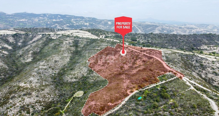 Pole rolne na sprzedaż w Larnaca