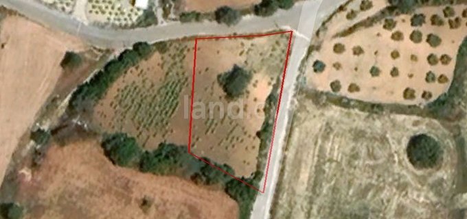 Residential field for sale in Paphos