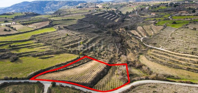 Agricultural field for sale in Paphos