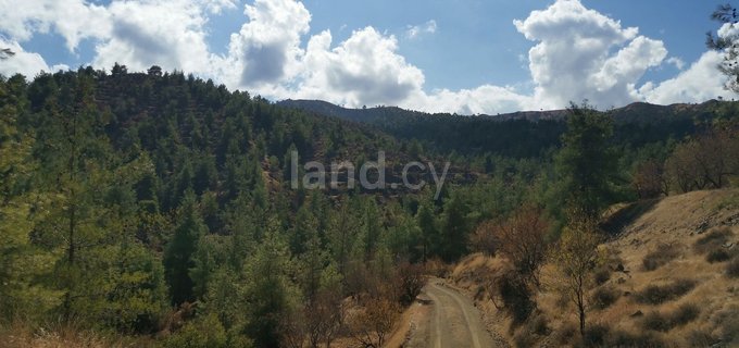 Agricultural field for sale in Nicosia