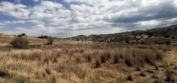 Agricultural field for sale in Nicosia