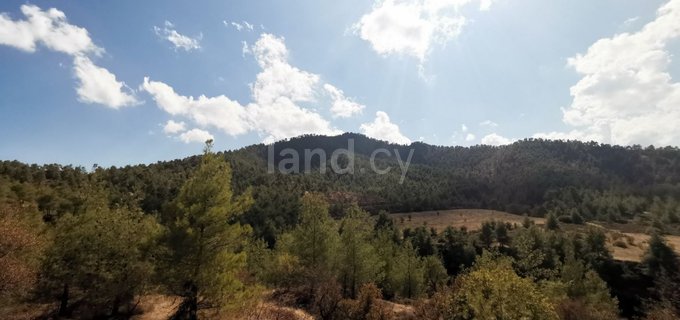 Agricultural field for sale in Nicosia