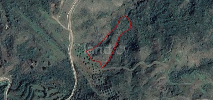 Agricultural field for sale in Cyprus