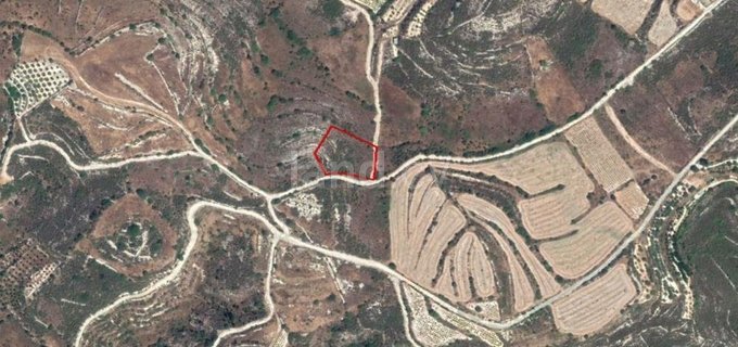 Agricultural field for sale in Limassol