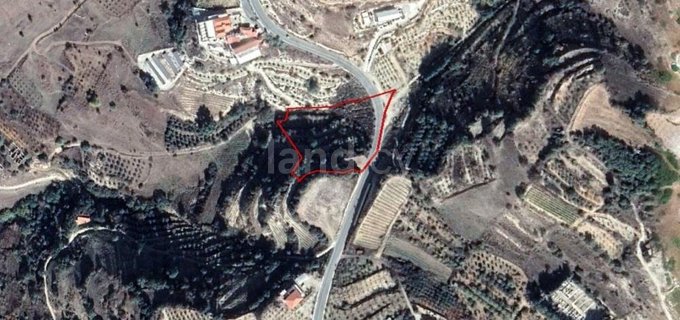 Agricultural field for sale in Paphos