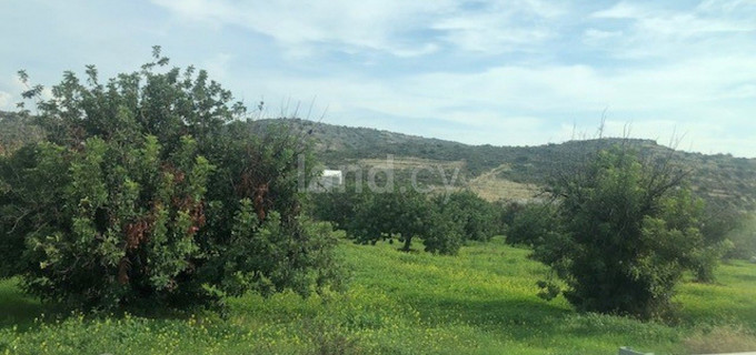 Residential field for sale in Limassol