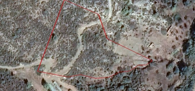 Residential field for sale in Cyprus