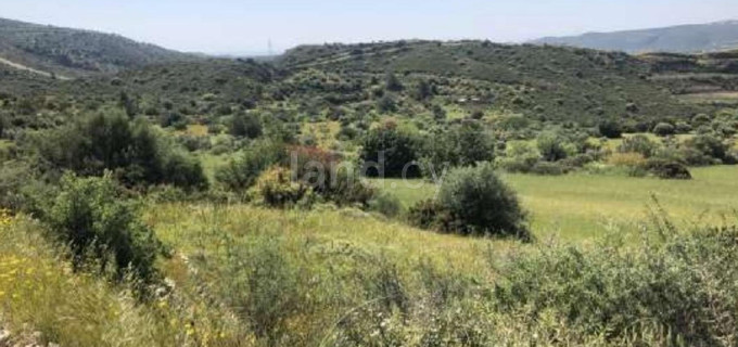 Campo agrícola a la venta en Larnaca