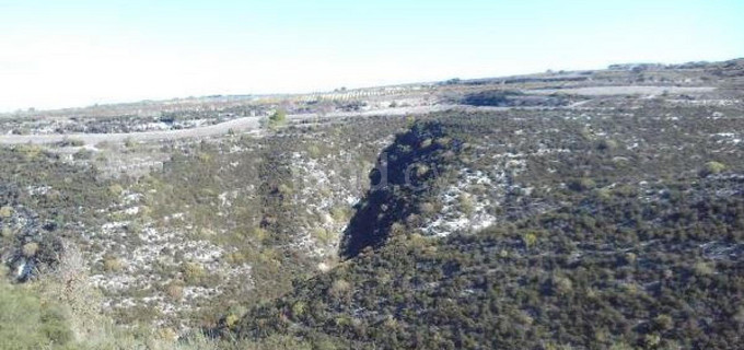 Agricultural field for sale in Paphos