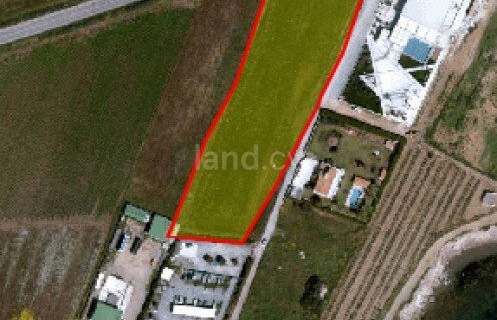 Touristic field for sale in Paphos