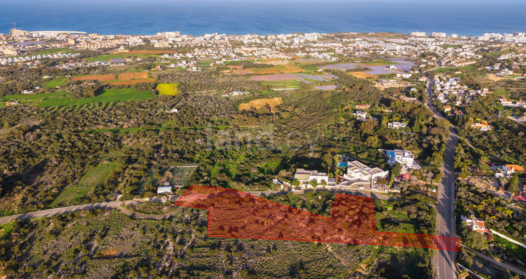 Αγροτικό αγροτεμάχιο προς πώληση - Πρωταράς