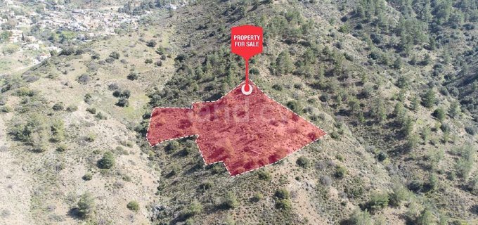 Agricultural field for sale in Nicosia