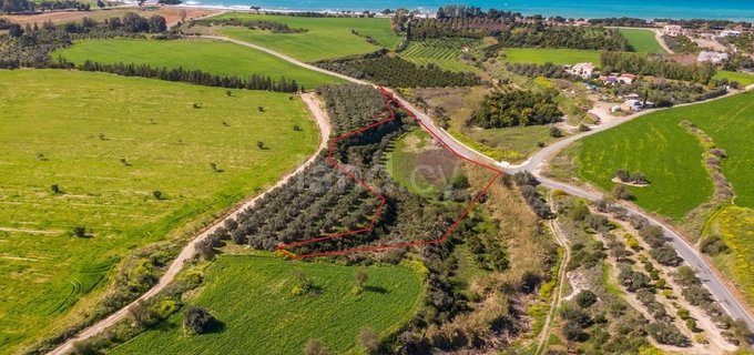 Agricultural field for sale in Paphos