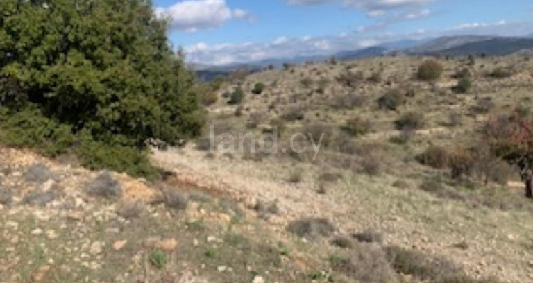 Agricultural field for sale in Paphos