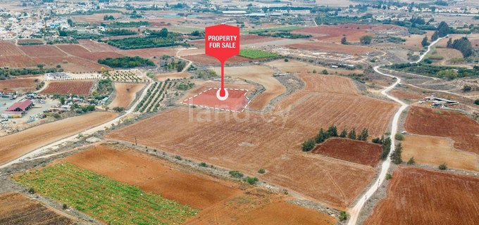 Landwirtschaftliches Baugebiet in Frenaros zu verkaufen