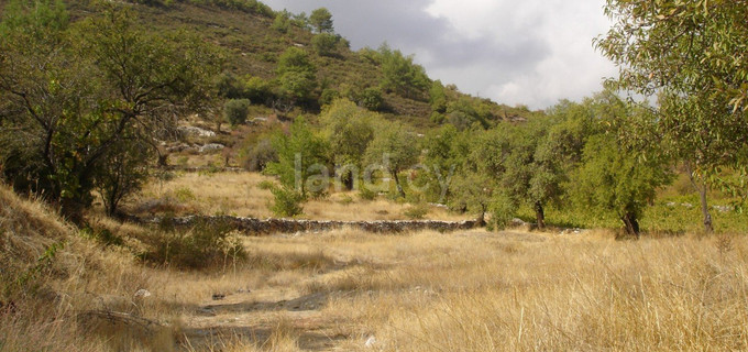 Terrain résidentiel à vendre à Limassol