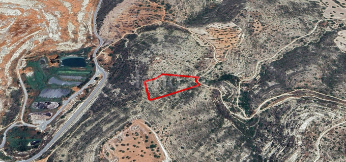 Agricultural field for sale in Limassol