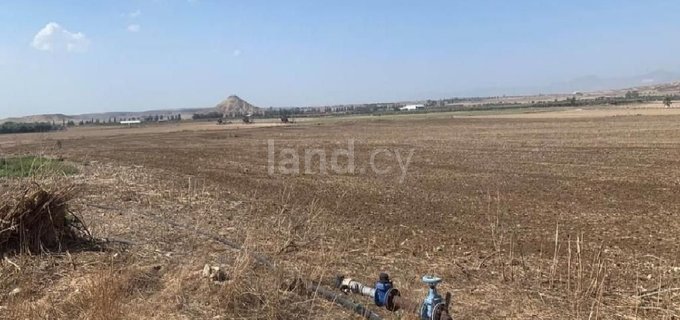 Landwirtschaftliches Grundstück in Larnaca zu verkaufen