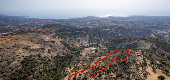 Agricultural field for sale in Paphos