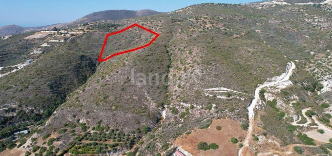 Agricultural field for sale in Limassol