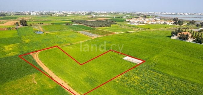 Residential field for sale in Sotira