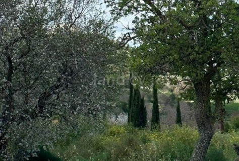 Tomt avsedd för boende till salu i Paphos