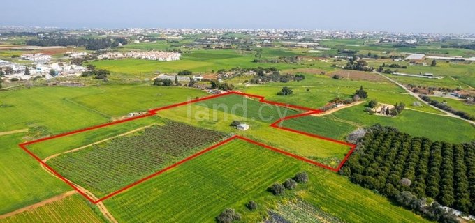 Residential field for sale in Frenaros