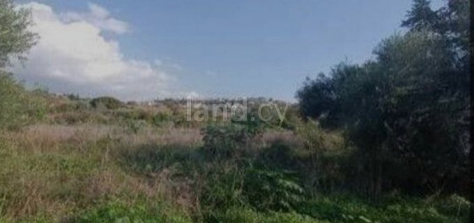 Landwirtschaftliches Grundstück in Paphos zu verkaufen