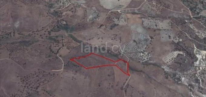 Residential field for sale in Paphos