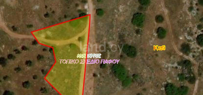 Residential field for sale in Paphos