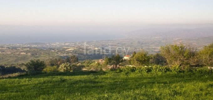 Residential field for sale in Paphos