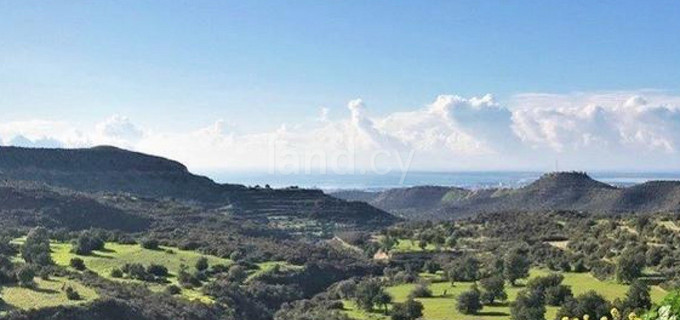 Agricultural field for sale in Limassol