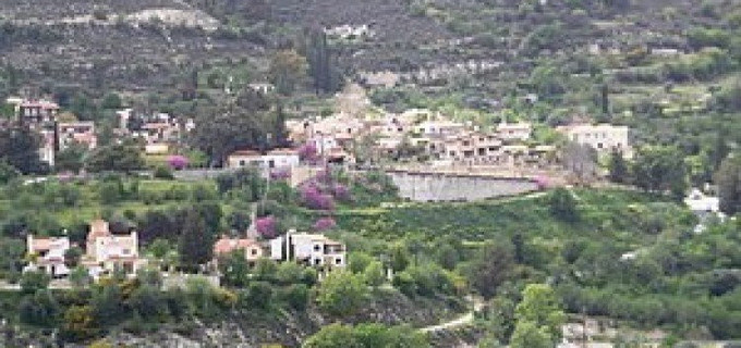 Terrain agricole à vendre à Limassol