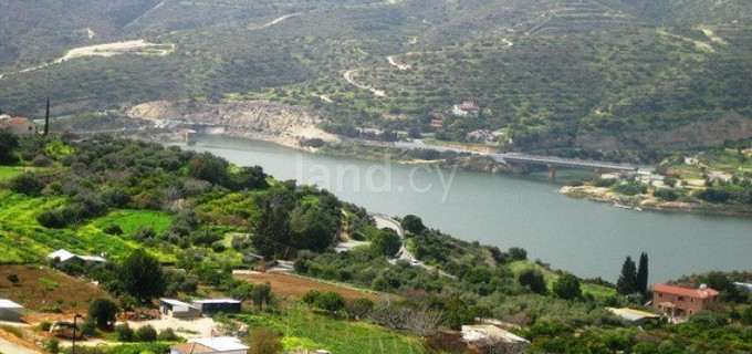 Terrain agricole à vendre à Limassol