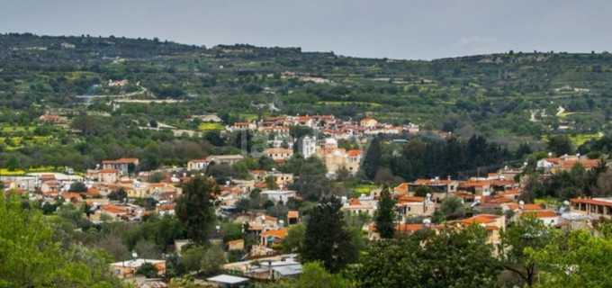 Agricultural field for sale in Paphos