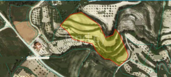Agricultural field for sale in Paphos