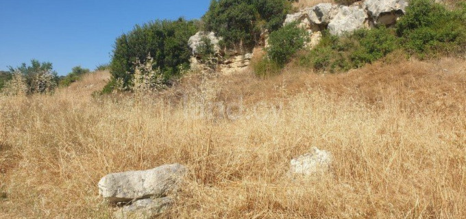 Residential field for sale in Limassol