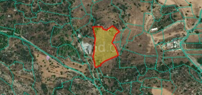 Agricultural field for sale in Limassol