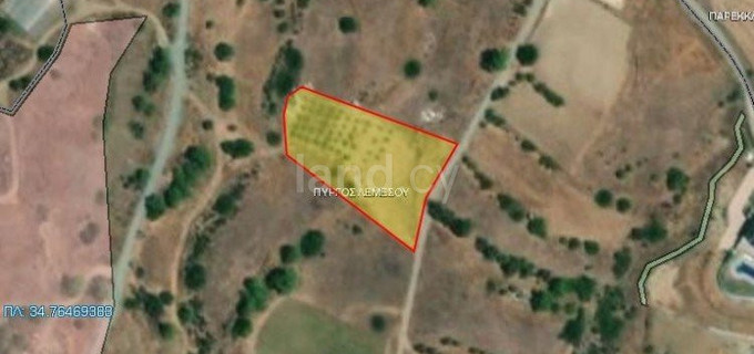 Agricultural field for sale in Limassol