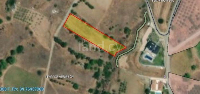 Agricultural field for sale in Limassol