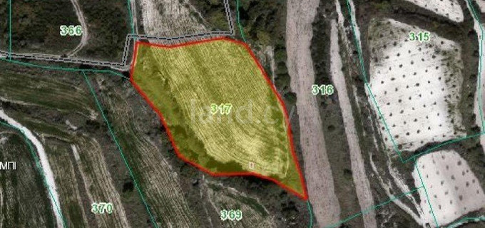 Agricultural field for sale in Paphos