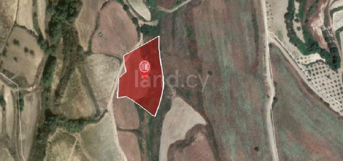 Agricultural field for sale in Paphos