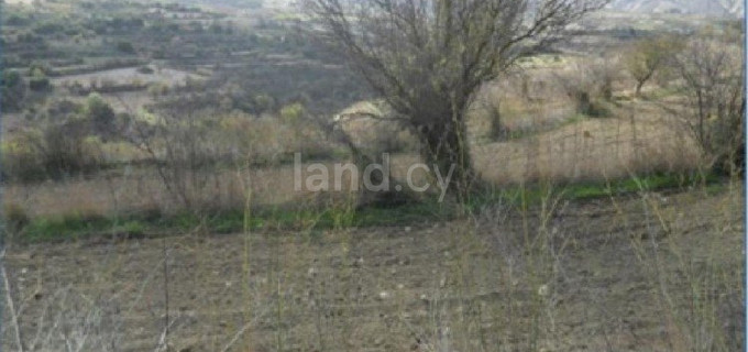 Landwirtschaftliches Baugebiet in Paphos zu verkaufen