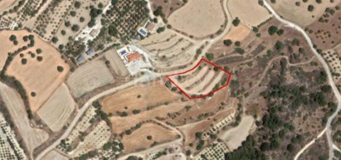 Agricultural field for sale in Paphos