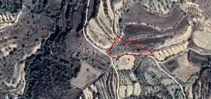 Parcela residencial a la venta en Paphos